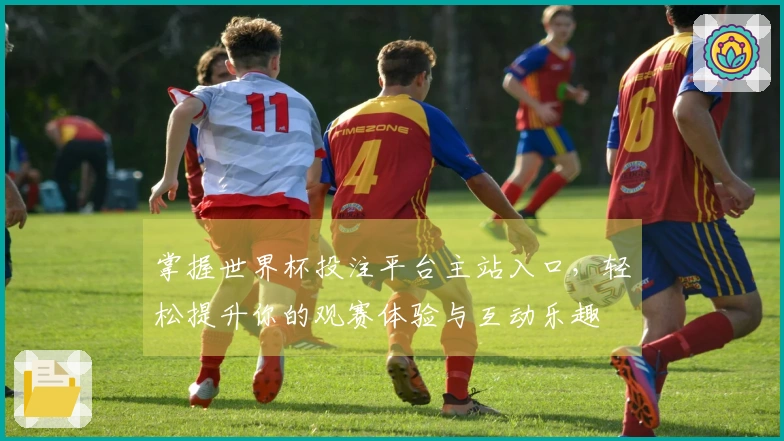 掌握世界杯投注平台主站入口，轻松提升你的观赛体验与互动乐趣