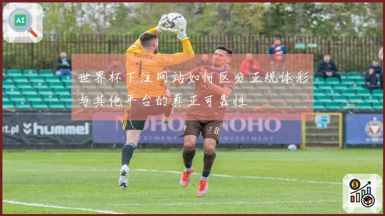 世界杯下注网站如何区分正规体彩与其他平台的真正可靠性