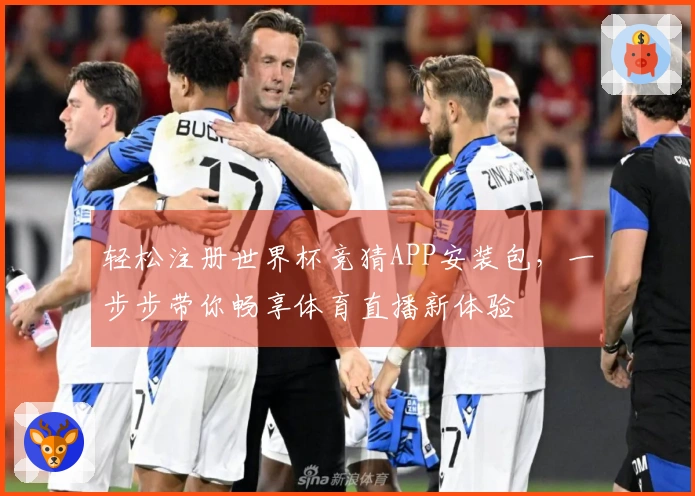 轻松注册世界杯竞猜APP安装包，一步步带你畅享体育直播新体验