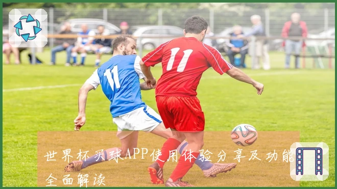 世界杯买球APP使用体验分享及功能全面解读