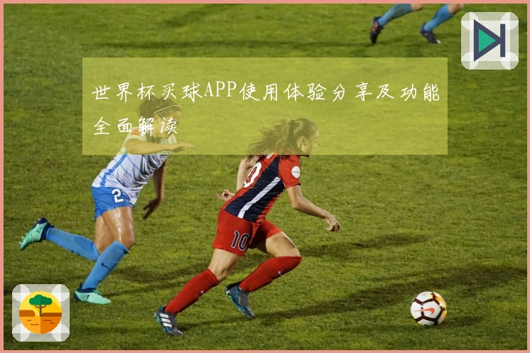世界杯买球APP使用体验分享及功能全面解读