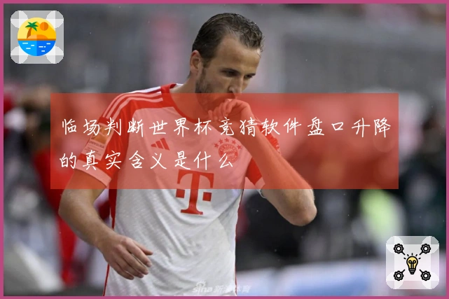 临场判断世界杯竞猜软件盘口升降的真实含义是什么