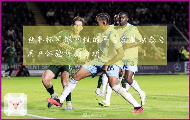 世界杯买球网址的平台发展动态与用户体验评测分析