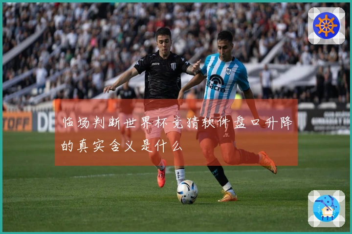 临场判断世界杯竞猜软件盘口升降的真实含义是什么