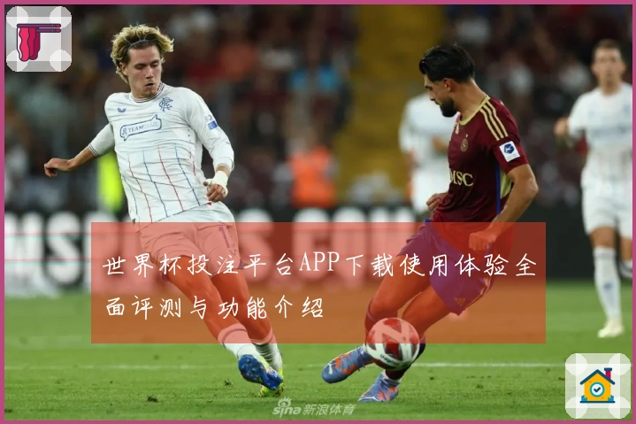世界杯投注平台APP下载使用体验全面评测与功能介绍