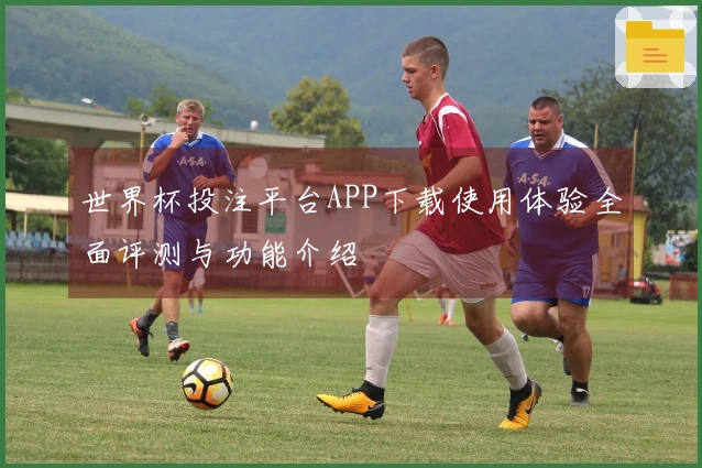 世界杯投注平台APP下载使用体验全面评测与功能介绍