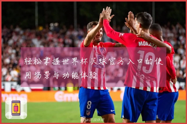 轻松掌握世界杯买球官方入口的使用场景与功能体验